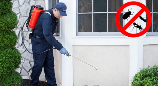 Sungurlu Dezenfeksiyon böcek ilaçlama ve haşere kontrolü — ilaclama-tr.com